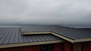 Roof Coating Services in Northfield, OH